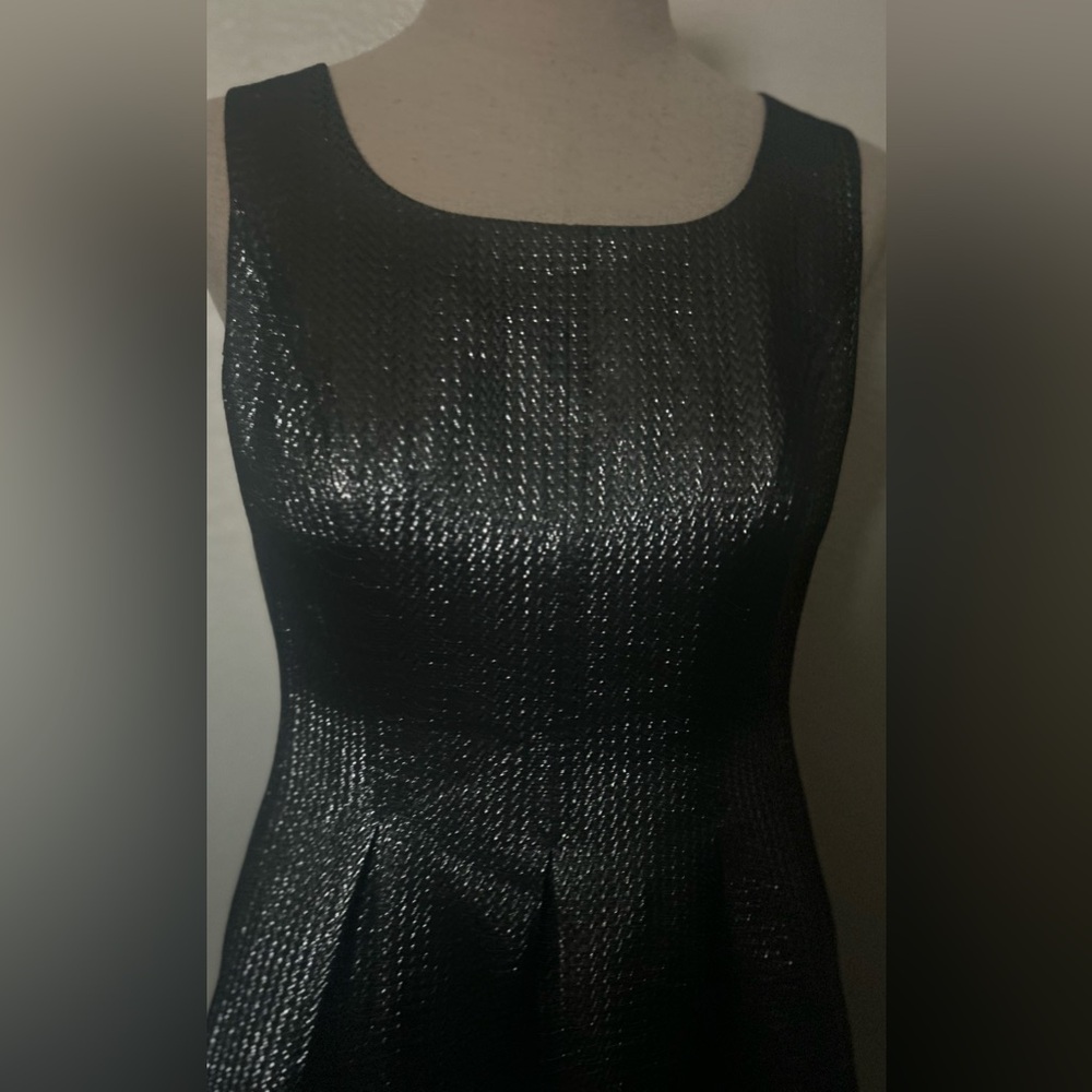 Elegant Silver and Black Sleeveless Dress - Picture 3 of 10